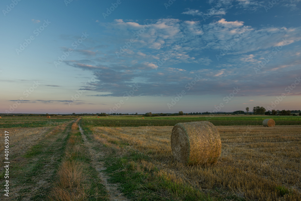 Country road and fields with hay, evening clouds