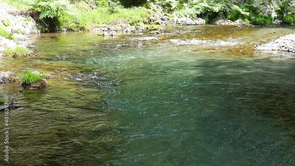 東京秋川の清流 美しい滝の流れ 東京秋川の清流 美しい滝の流れ