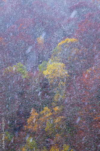 Otoño en el Bosque Atlántico, Monasterio de Hermo, Asturias