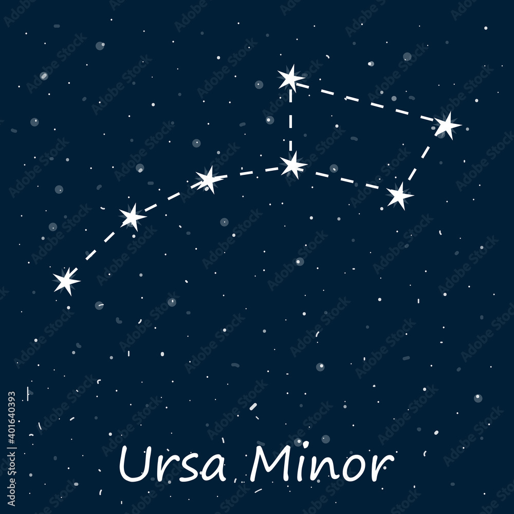 Constellation of Ursa Minor in starry night sky. Celestial body in space, latin inscription. Vector stock illustration in cartoon style. Can be used in astronomy textbooks, fashion magazines.