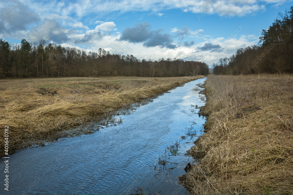 A calm river and dry grasses on the banks