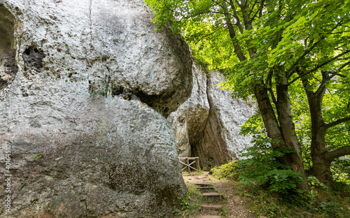 rocks in the Krak  w-Czestochowa Upland