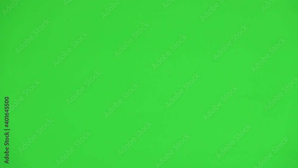 female turkey disappears and reappears on the green screen female turkey disappears and reappears on the green screen