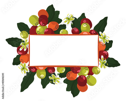 Beautiful frame with berries, leaves and flowers of the coffee tree. Ideal for decorating, invitations, congratulations, etc. Vector color image.