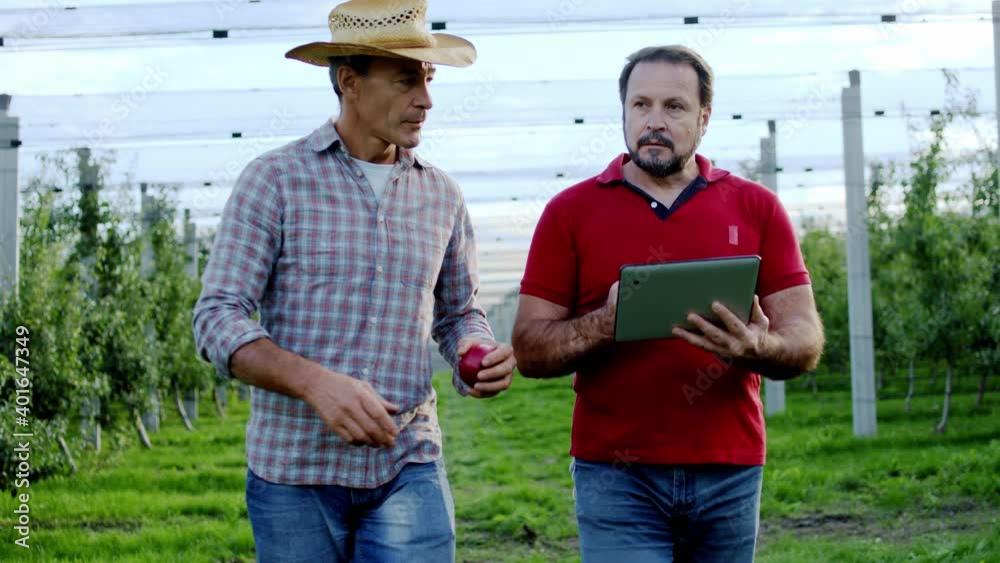 In front of the camera walking two farmers using digital tablet to make a plan for a new plantation of orchard they discussing together In front of the camera walking two farmers using digital tablet to make a plan for a new plantation of orchard they discussing together