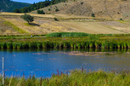 Wallpaper Mural Rice field and hill view. Torontodigital.ca