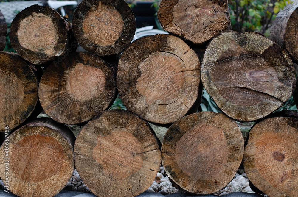 A stack of logs. Felled trees. Tree structure. A stack of logs. Felled trees. Tree structure.