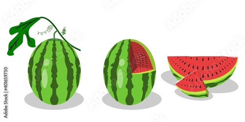 3 forms of watermelon. some are still stemmed, watermelons are hollow, and pieces of watermelon