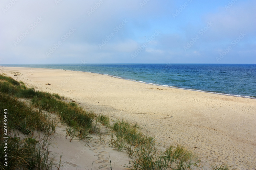 Obraz premium Sandy shore of the Baltic Sea