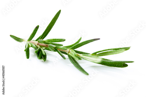 Fresh rosemary on white