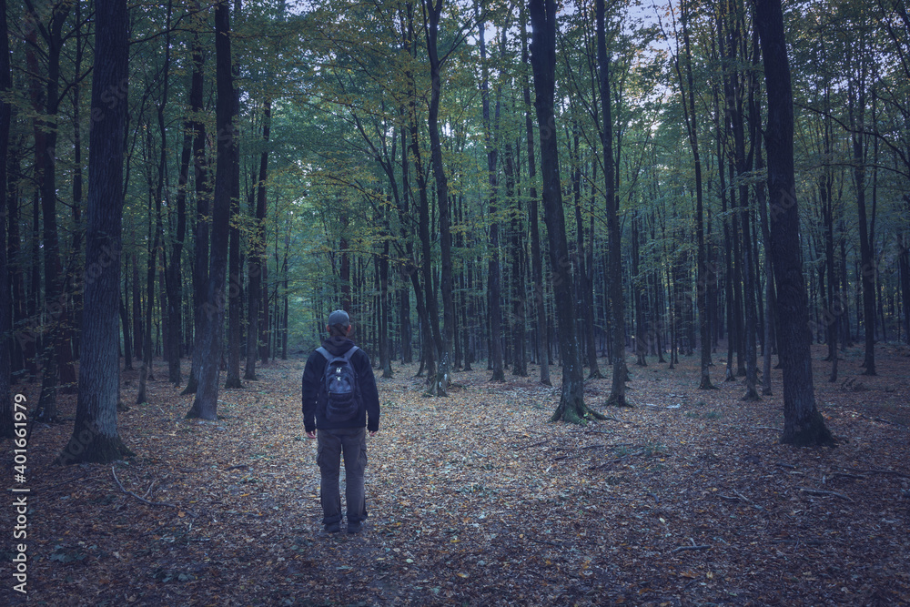 A man standing on a path in a dark forest