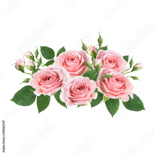 Bouquet of pink rose flowers isolated on white background. Design floral arrangements for textile, greeting card, invitations.
