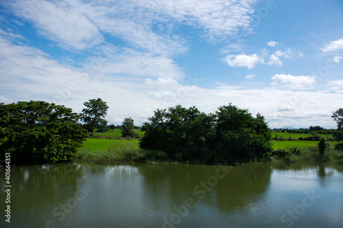 Fototapeta Naklejka Na Ścianę i Meble -  View landscape natural pond and paddy rice field park outdoor at Singburi city in Sing Buri provinces of Thailand