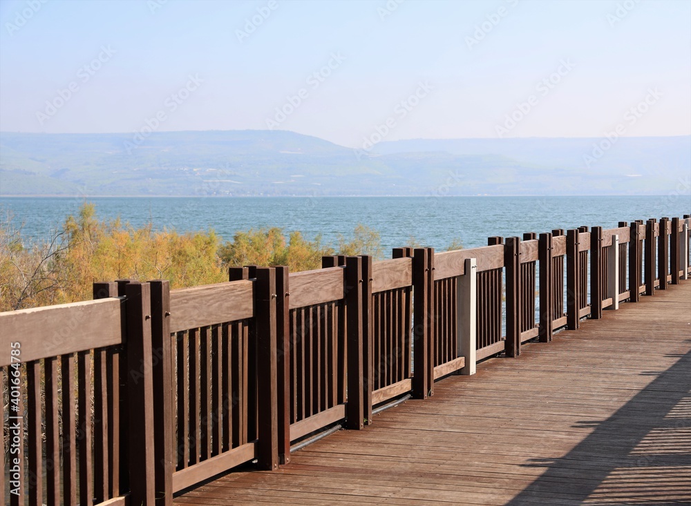 nature photography in israel on the shores of lake kinneret StockFoto