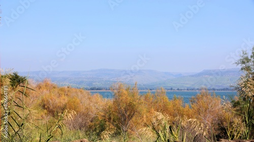 nature photography in israel on the shores of lake kinneret