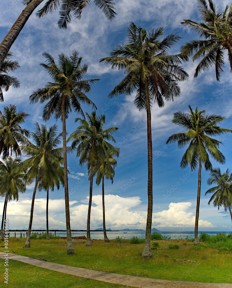 Malaysia. Semporna. One of the many coral Islands covered with coconut palms along the East coast of Borneo.