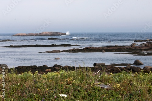 Rocky Maine Coastline