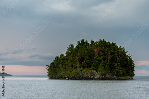 Single Island Covered in Thick Woods
