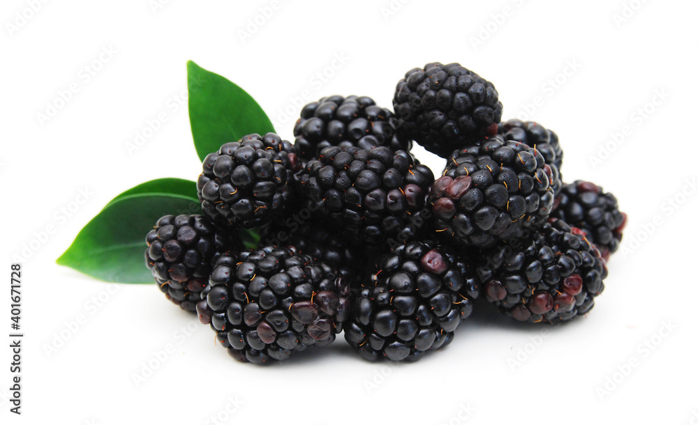 Blackberry, isolated on white Blackberry, isolated on white