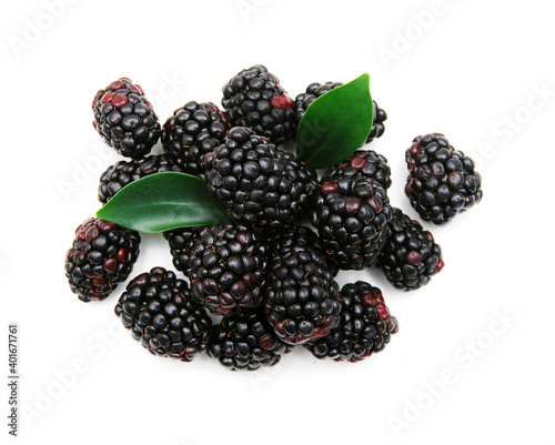 Blackberry, isolated on white