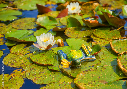 Funny decorative frog lolls between water lilies.