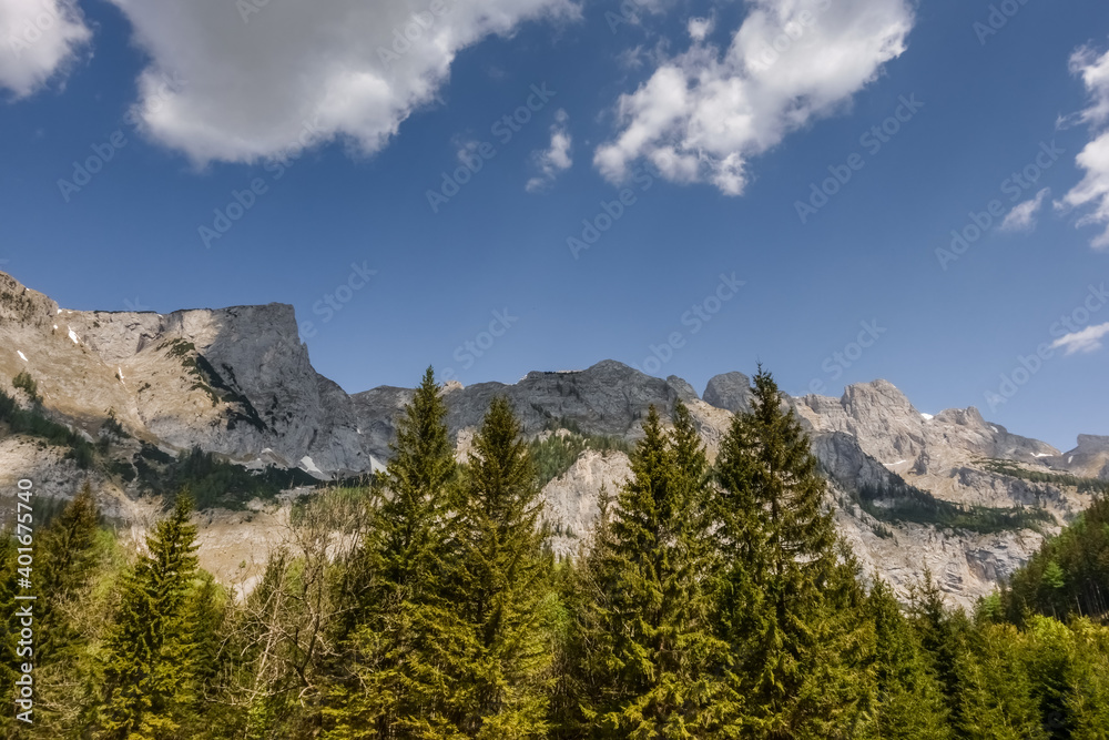 pointed mountains with pine trees and blue sky