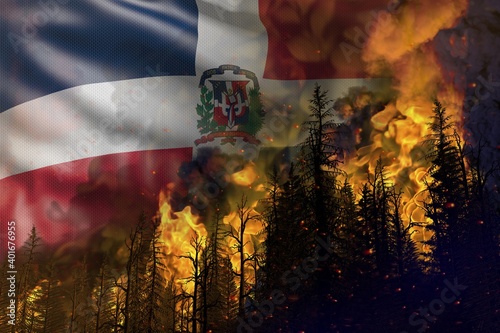 Forest fire natural disaster concept - burning fire in the woods on Dominican Republic flag background - 3D illustration of nature