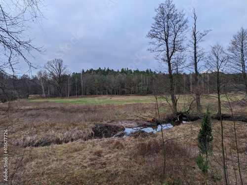 Fototapeta Naklejka Na Ścianę i Meble -  landscape of a stream flowing through a meadow