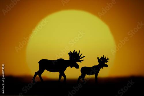 Sunset and moose in silhouette