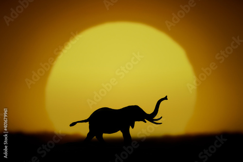 Sunset and elephant in silhouette © dunga