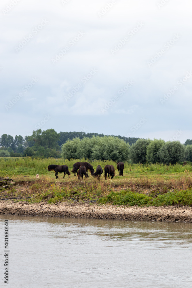 hourses next tot the river hourses next tot the river