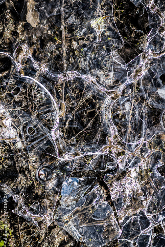 Ice Structures in a Frozen Puddle Ice Structures in a Frozen Puddle