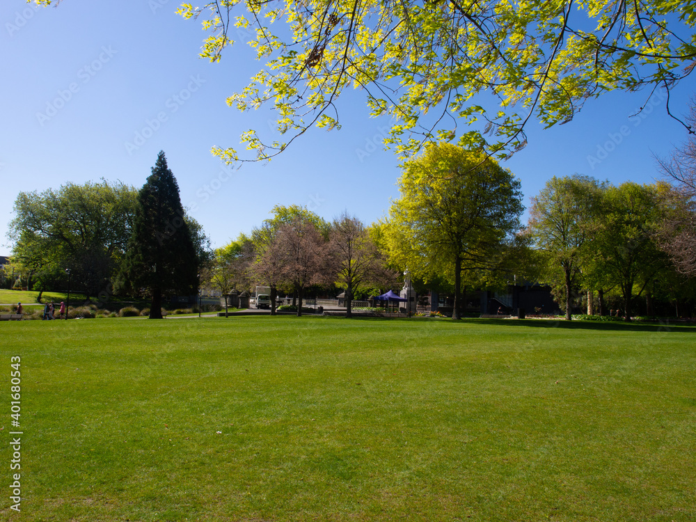 Lush Green City Park