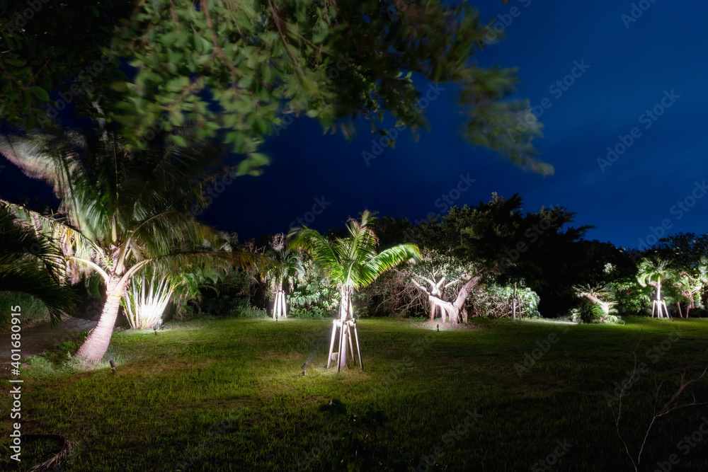 Fototapeta premium 石垣島の夜景