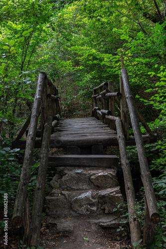 Details from wood and stone bridge © rninov
