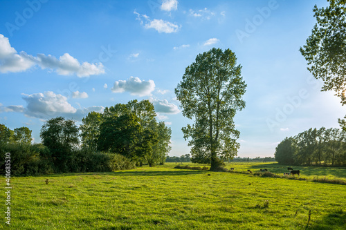 Stunning Norfolk country side, coming into the witching hour