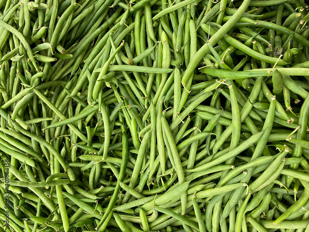 Big pile of organic green beans and farmers market grocers fresh produce stand Big pile of organic green beans and farmers market grocers fresh produce stand