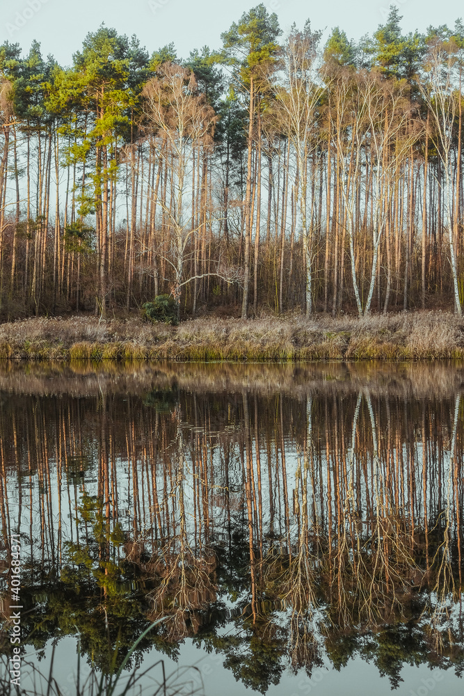 Reflection of trees in the water. Landscape. Deep waters of the blue lake surrounded by winter forest. Trees above the water