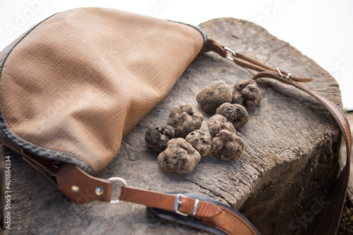 Some black truffles over a wooden surface and a recollection bag.