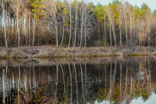 Reflection of trees in the water. Landscape. Deep waters of the blue lake surrounded by winter forest. Trees above the water