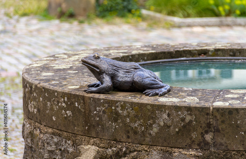 metallic frog sculpture photo