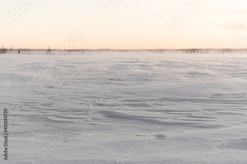 in mezzo alla tundra, da qualche parte, oltre il circolo polare nella penisola di Yamal photo