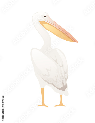 Pelican genus large water bird cartoon animal design big white bird with orange beak flat vector illustration isolated on white background