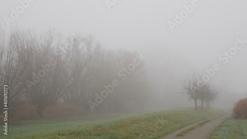 Landschaft in dichtem Nebel mit einem Deich, kahlen Bäumen und Fußweg im Herbst oder Winter