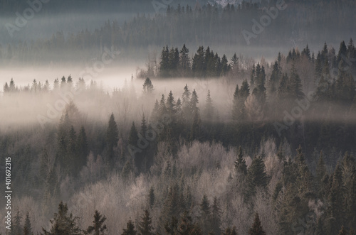 krajobraz górski we mgle