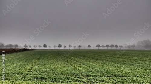 Gespenstischer Blick über die Felder zu einer durch die Covid19 Pandemie leeren und einsamen Straße mit einer Allee aus Bäumen im dichten Nebel im Spätherbst