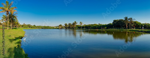 Panoramic photo of a lake in a park with coconut trees, lawn and trees beside and blue sky