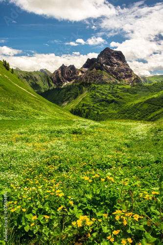 Blick auf Großen Widderstein Kleinwalsertal