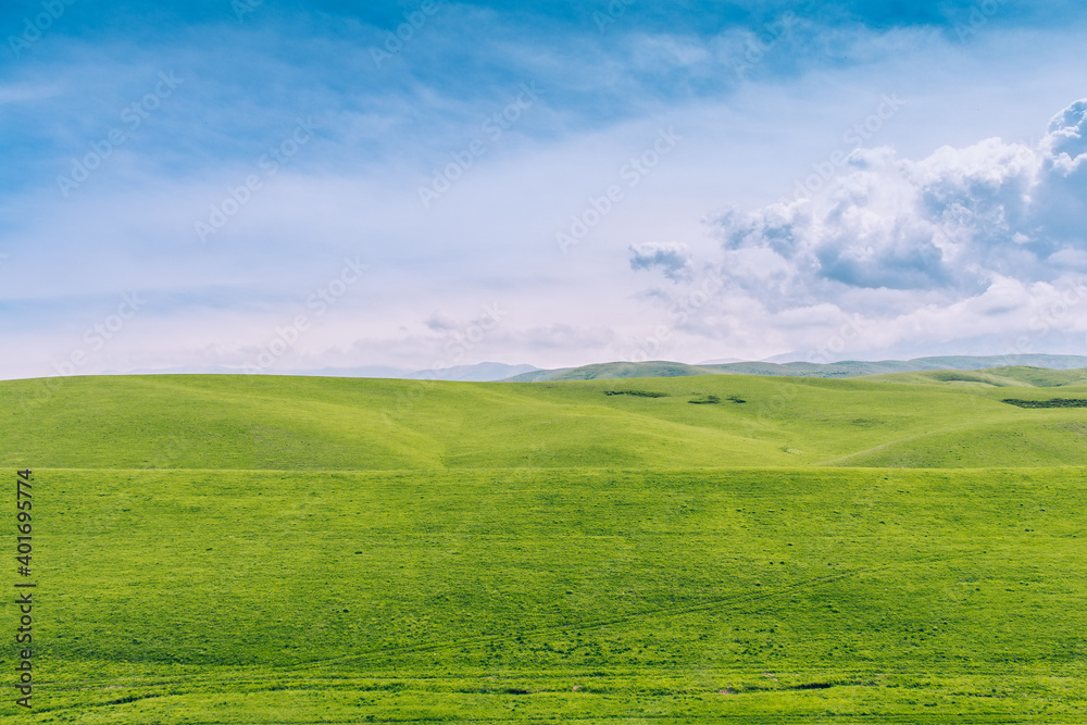 Green field against blue sky