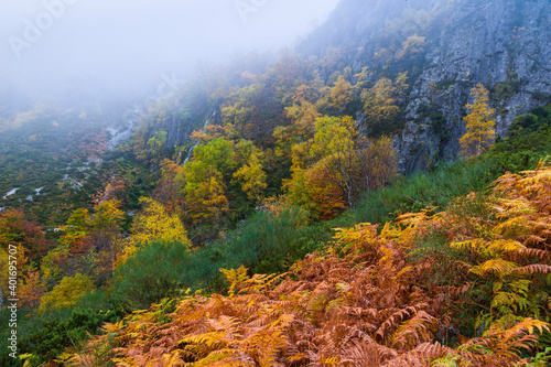 Landscapes and fall colors in the Redes Natural Park, in the Caso Council. Asturias, Spain, Europe